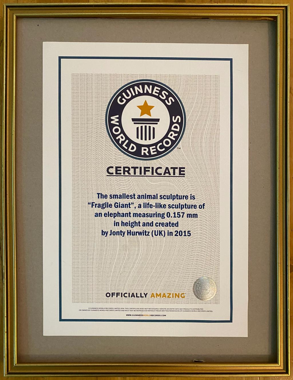 Guinness-World-Record.JPG