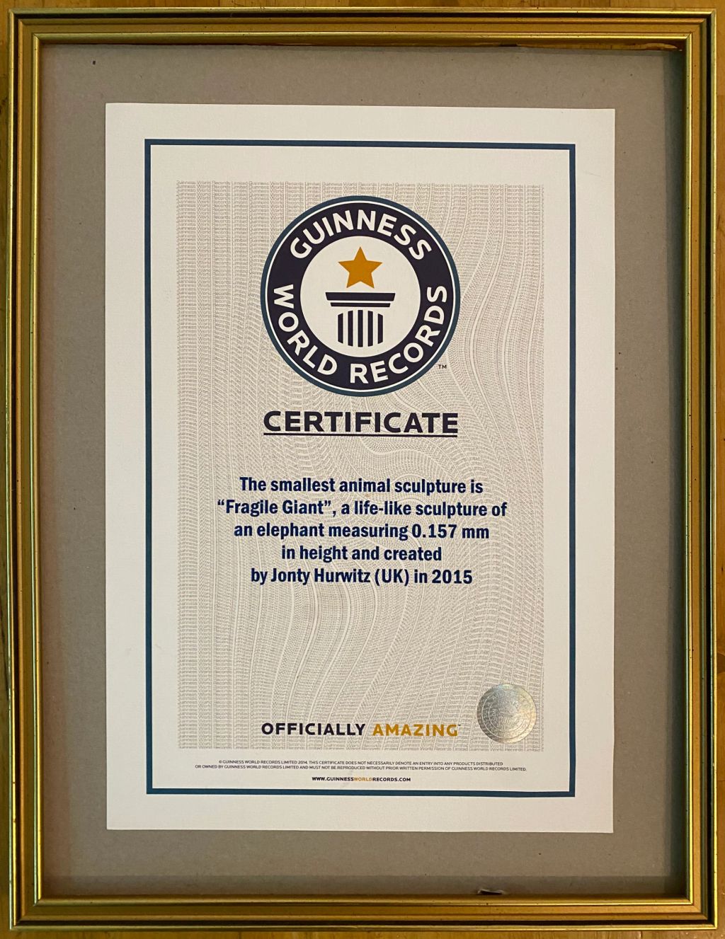 Guinness-World-Record.JPG