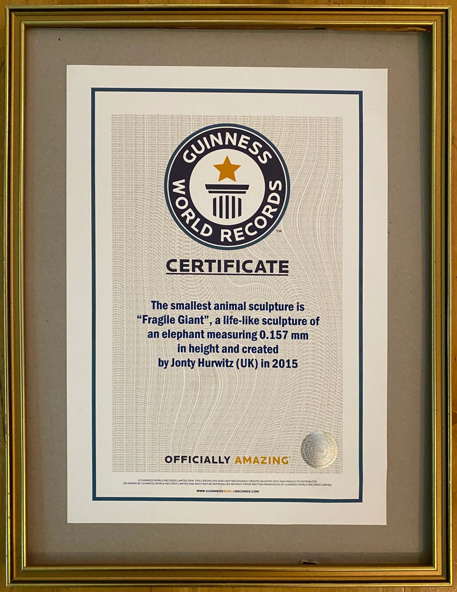 Guinness-World-Record.JPG
