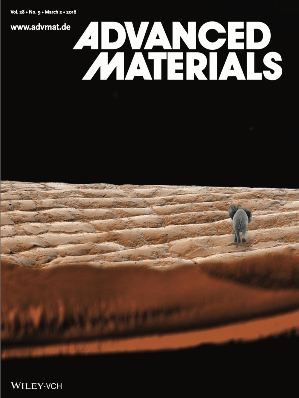 Cover of Advanced Materials, Vol. 28, Issue 9 — March 2016, featuring the nano sculpture work.