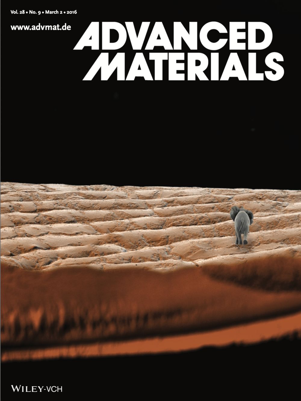 Cover of Advanced Materials, Vol. 28, Issue 9 — March 2016, featuring the nano sculpture work.