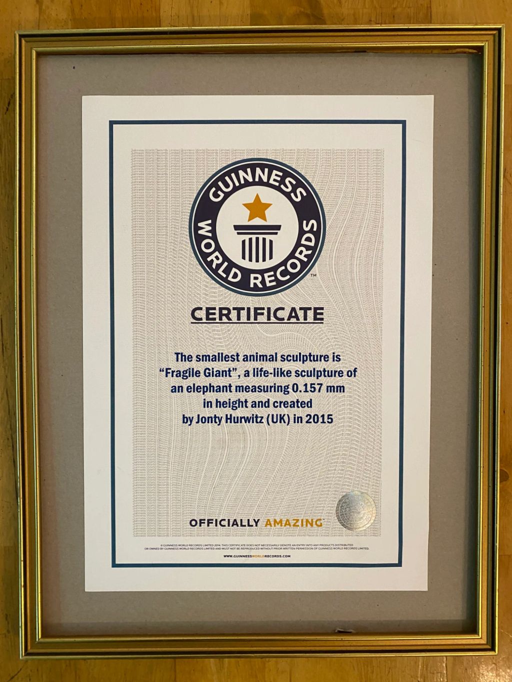 Guinness World Record